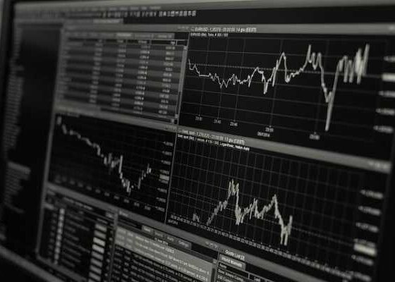 Economy 101: Easy Guide for Newbies to Get Started