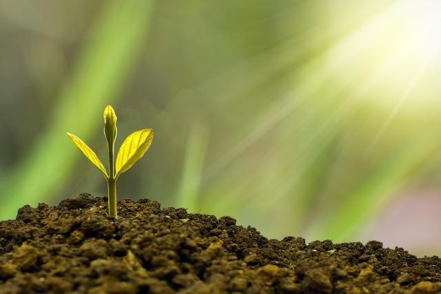Understanding market Trends to Stay Ahead of the Game